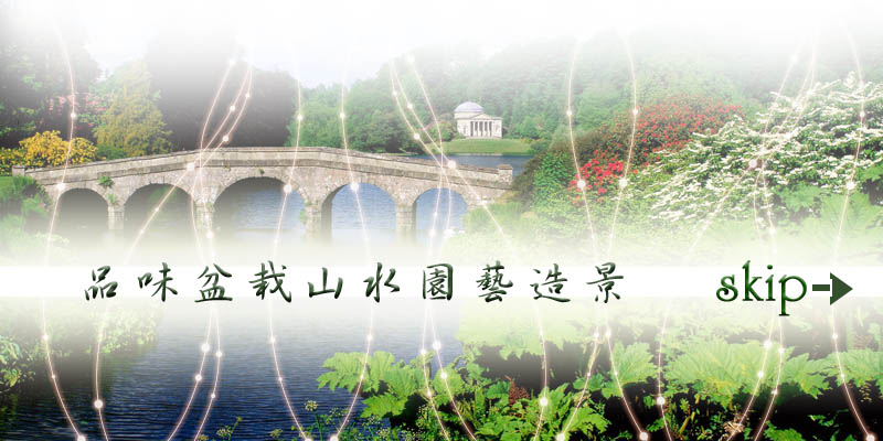品味盆栽山水園藝造景三